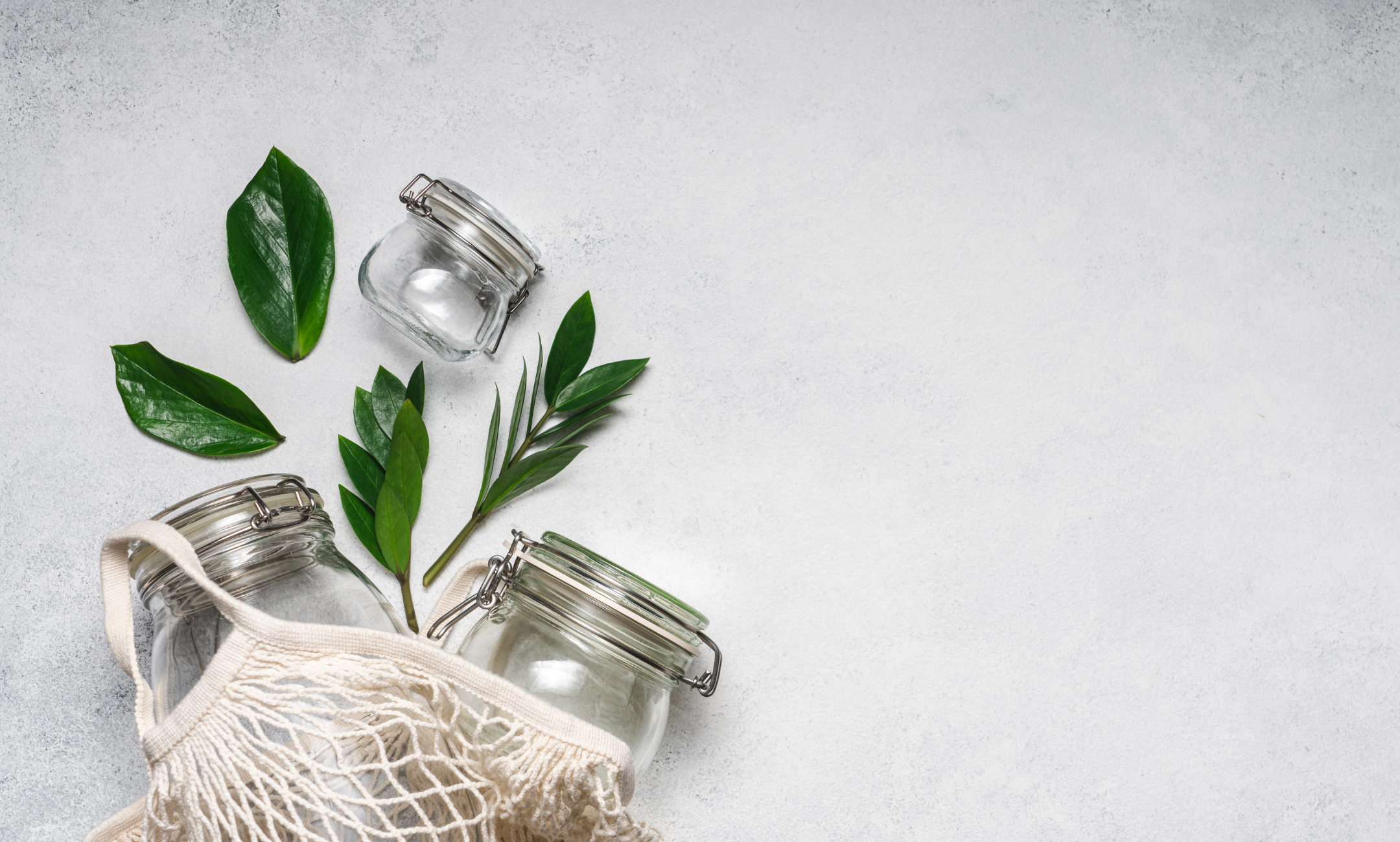 Como começar o desafio Zero Lixo?