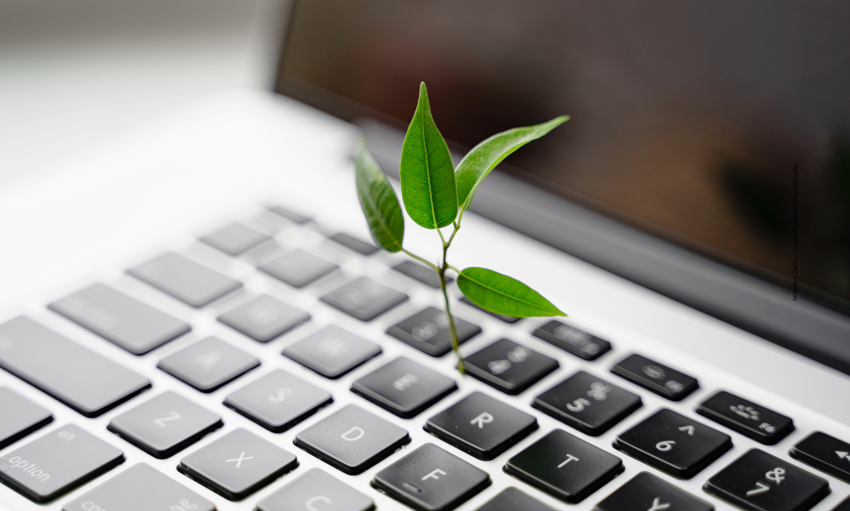 Tecnologia nova, problemas velhos: a verdade que pode mudar a tua próxima compra