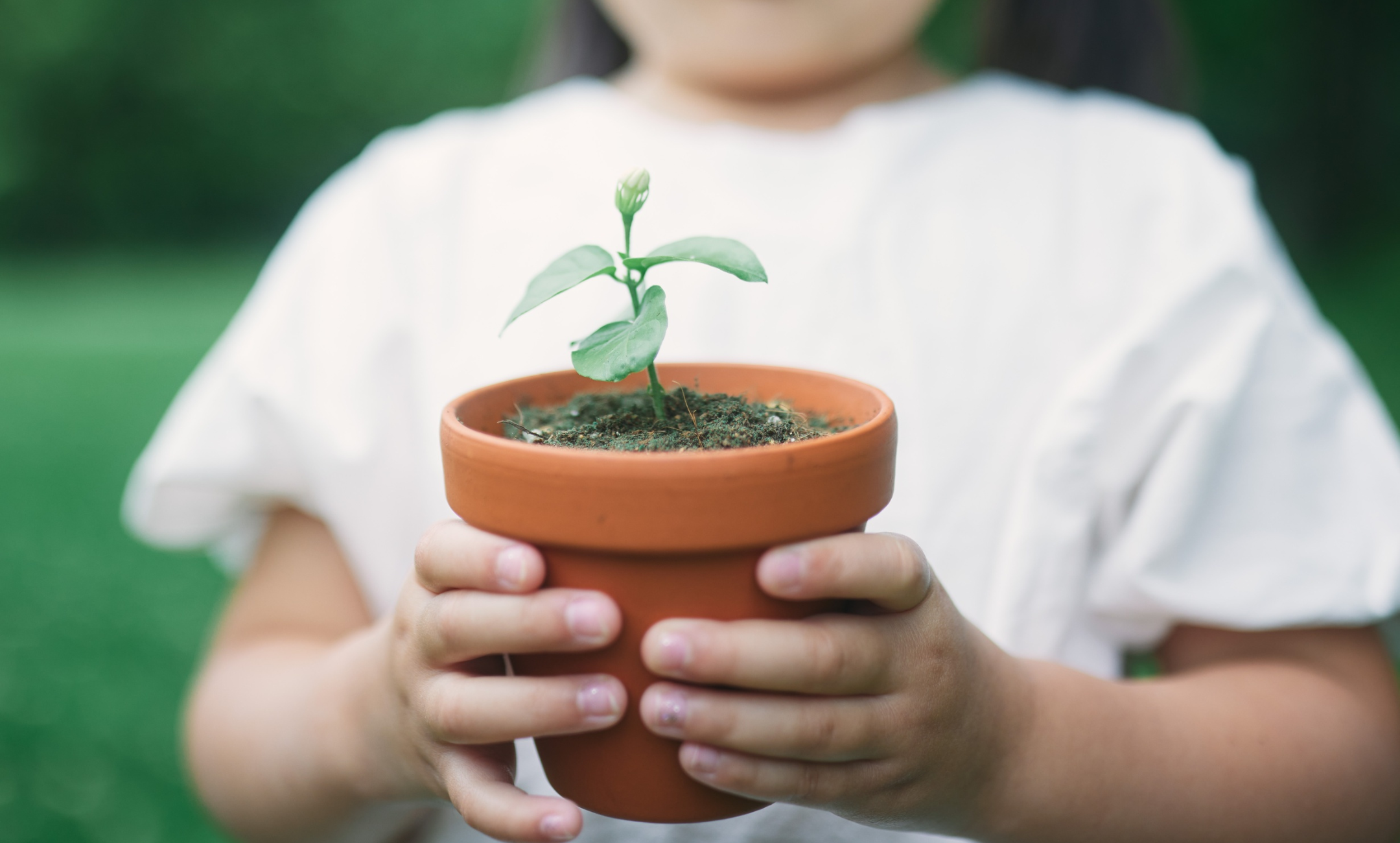 As crianças são o futuro: sustentabilidade para os mais pequenos