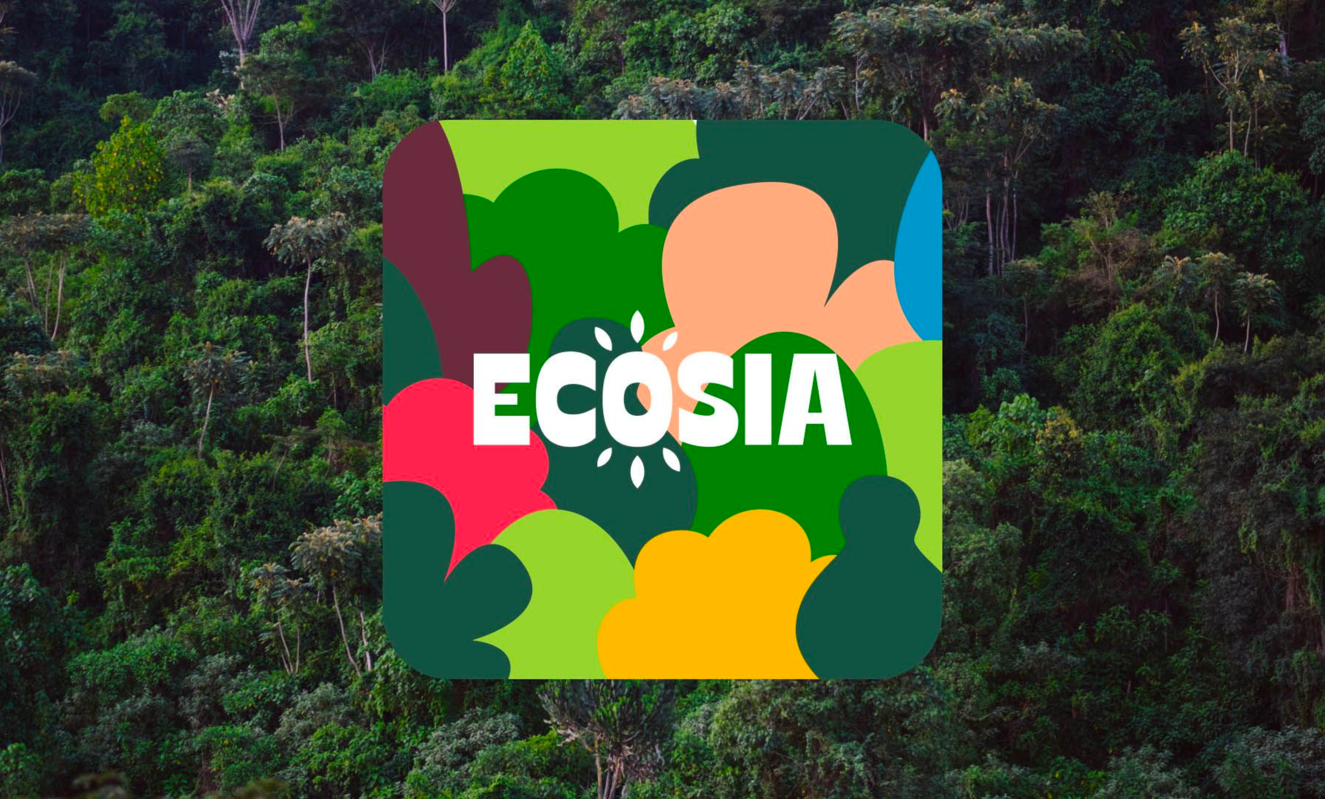 Ecosia, o motor de busca ecológico