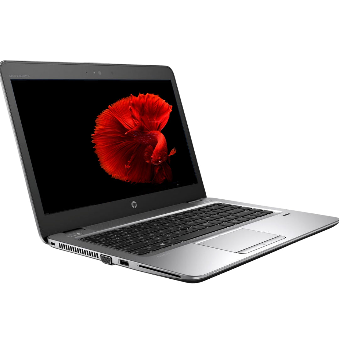 HP Elitebook 820 G2 i5 (5.ª generación) 8 GB RAM 128 GB SSD 12,5
